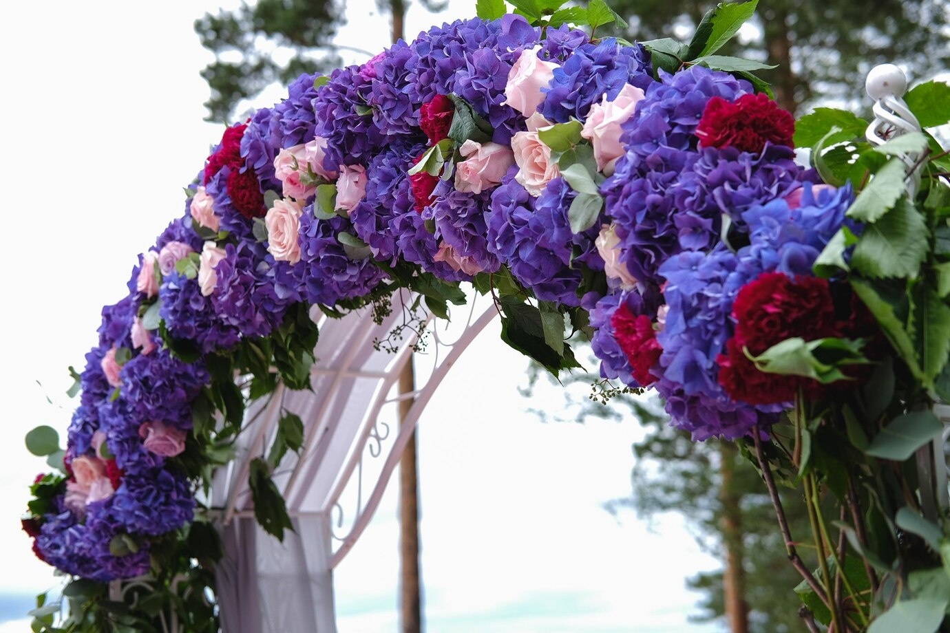 Floral arch for the entry of guest with blue red and burgundy color flower 