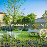 Small wedding venue setup in NJ with elegant decor.